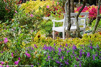 Garden Wildlife Week – Traumhafte Gärten für Mensch und Natur Garden Wildlife Week – Traumhafte Gärten für Mensch und Natur