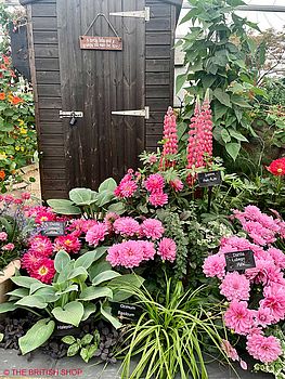 Eine Gartenlaube umgeben von rosa- und pinkblühenden Pflanzen.