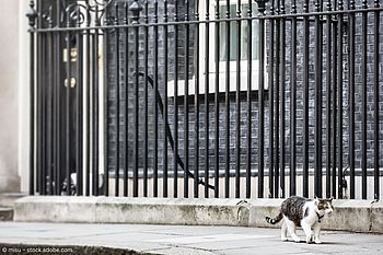 Chief Mouser of the Cabinet Office: Hier regiert die Katze! Chief Mouser of the Cabinet Office: Hier regiert die Katze!