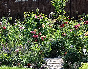 Eine typische Bepflanzung für einen Cottage Garden