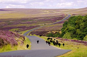 Geschützte Natur: 70 Jahre Nationalparks in Großbritannien