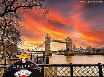 „The Travelling Teddy Bear“ vor der Tower Bridge in London bei Sonnenuntergang