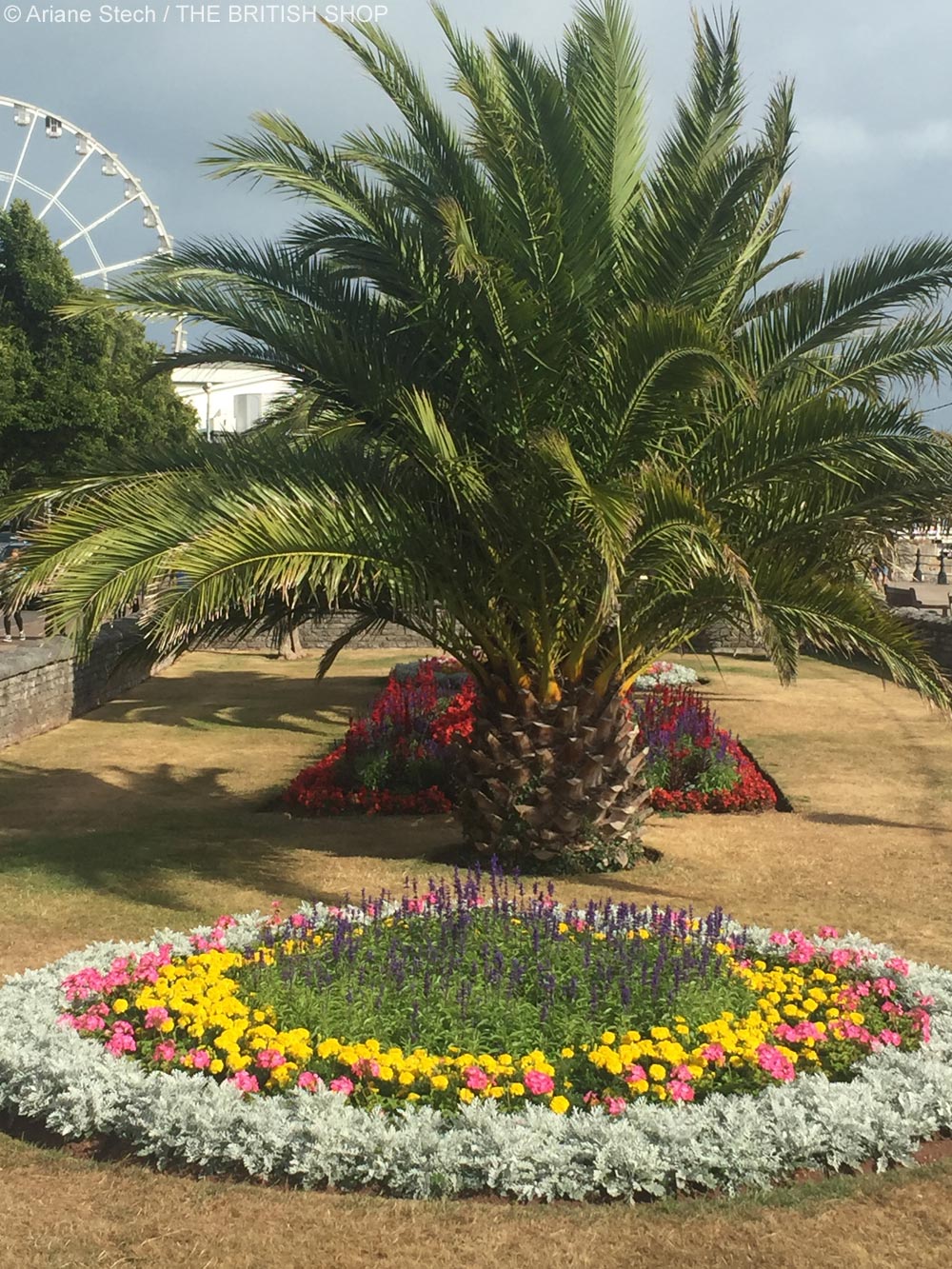 Cream Tea mit Rosamunde – eine Reise in Englands Südwesten: Teil 1: Welcome to Torquay