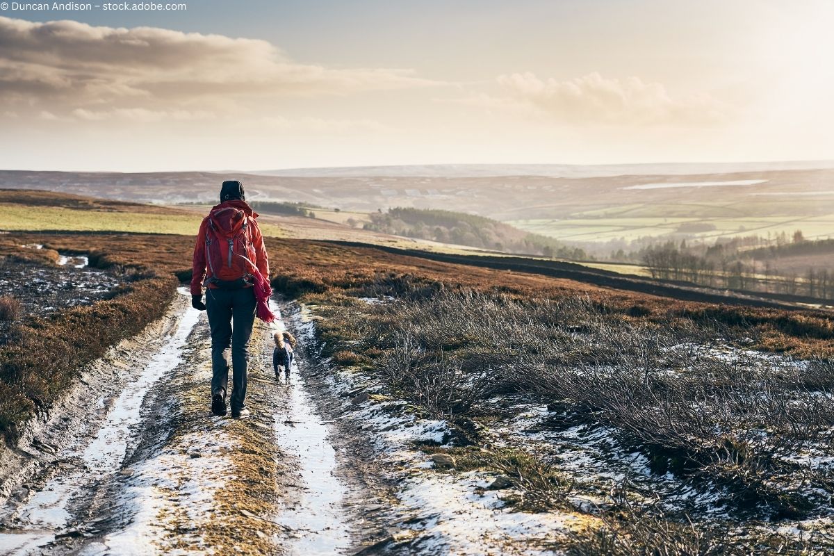 Von Eisbaden bis Spazierengehen: Wie die Briten den Januar feiern