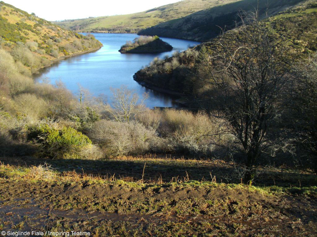 Dartmoor: ein mystischer Ort, ideal zum Wandern