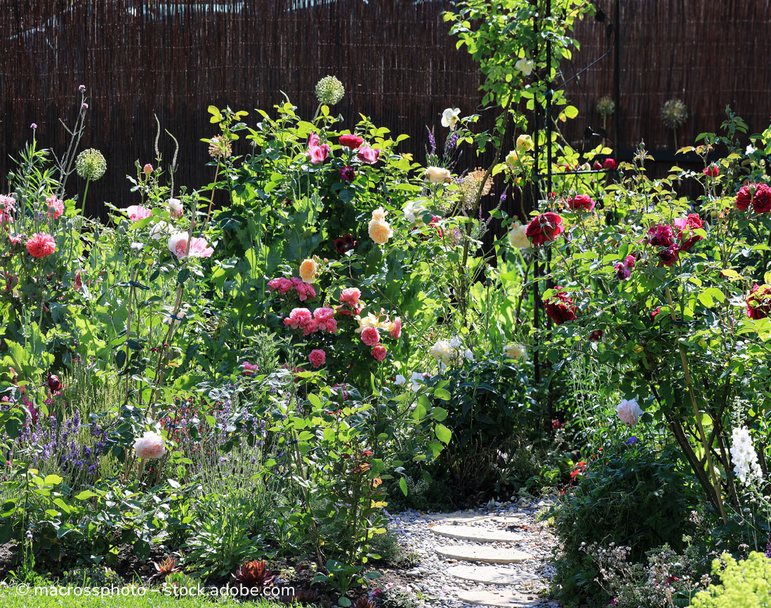 Eine typische Bepflanzung für einen Cottage Garden