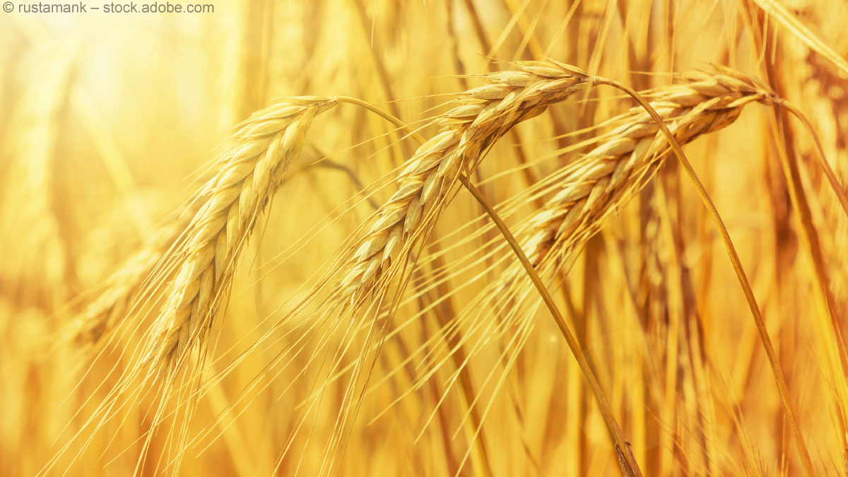 Lammas: Ein Festtag rund ums tägliche Brot