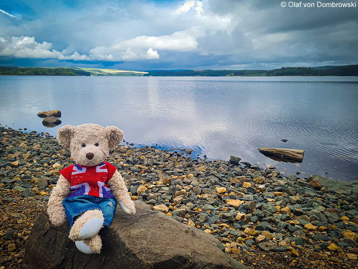 The Travelling Teddy Bear am Stausee Kielder Water in Northumberland The Travelling Teddy Bear am Stausee Kielder Water in Northumberland