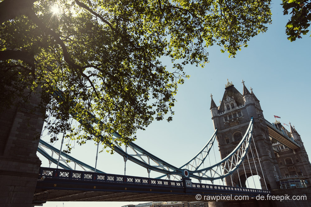 Traumgärten auf dem Hausbootdach: die Londoner „Floating Gardens“