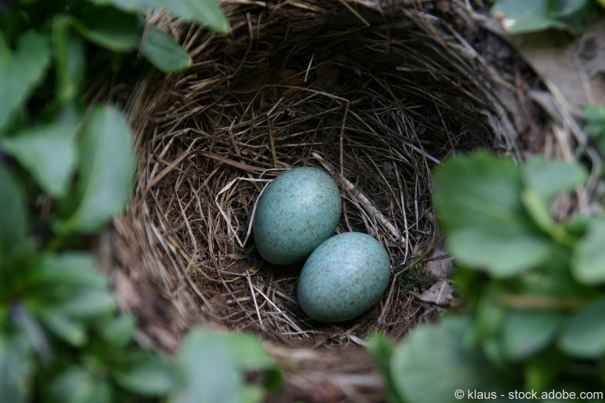 Königliche Vogelschützer